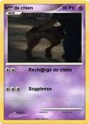 b*** de chien