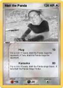 Matt the Panda