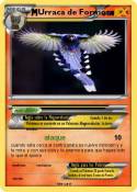 Urraca de