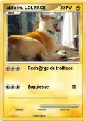 akita inu LOL
