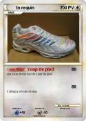 tn requin