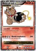 Bomb pit bull
