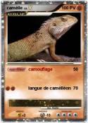 camélle