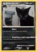 My Black cat