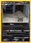 My Black cat