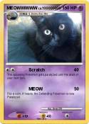 MEOWWWWW
