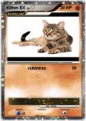 Kitten EX