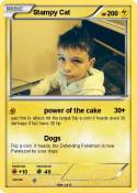 Stampy Cat