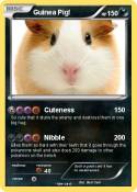 Guinea Pig!