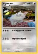 angora turc