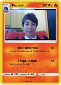 Pau bull