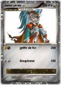 metal pirate