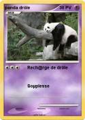 panda drôle