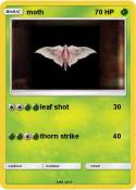 moth