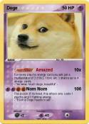 Doge