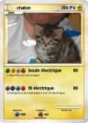 chaton