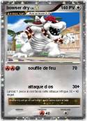 bowser dry
