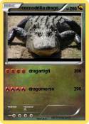 coccodrillo