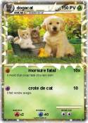 dogacat