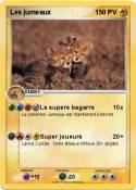 Les jumeaux