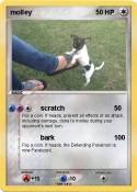 molley