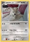 pt'it caniche