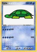 Turtle