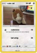 cute cat