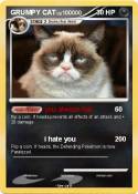 GRUMPY CAT