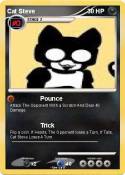 Cat Steve