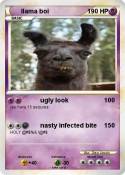 llama boi