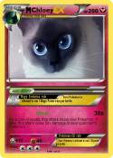 Chloey
