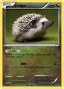 Hedger