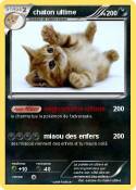 chaton ultime