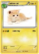 yellow cat