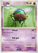 Fly