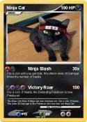 Ninja Cat
