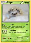 Hedgie