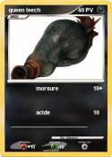 queen leech