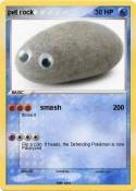 pet rock