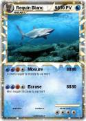 Requin Blanc 99