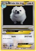 Gabe the dog