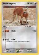 Red Kangaroo