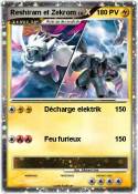 Reshiram et Zek
