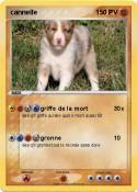 cannelle