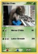 Roi des Chats