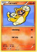cat mario