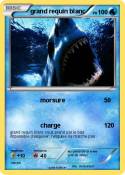 grand requin