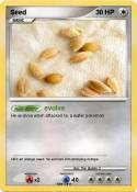 Seed