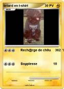 briard en t-shi